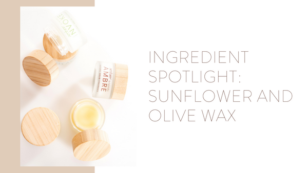 Ingredient Spotlight: Sunflower and Olive Wax