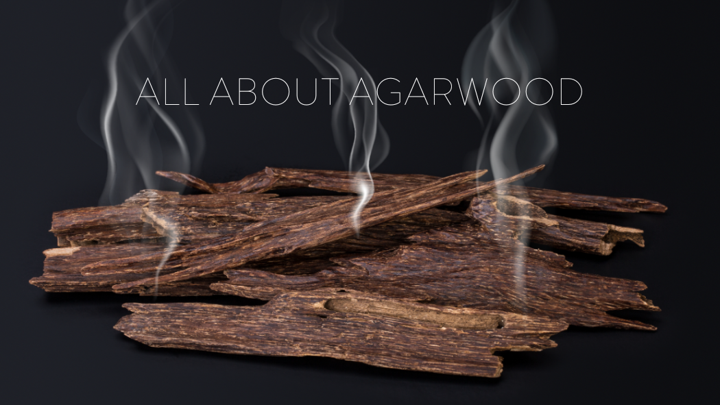 All About Agarwood – Ambre Blends