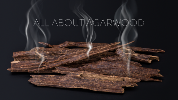 All About Agarwood